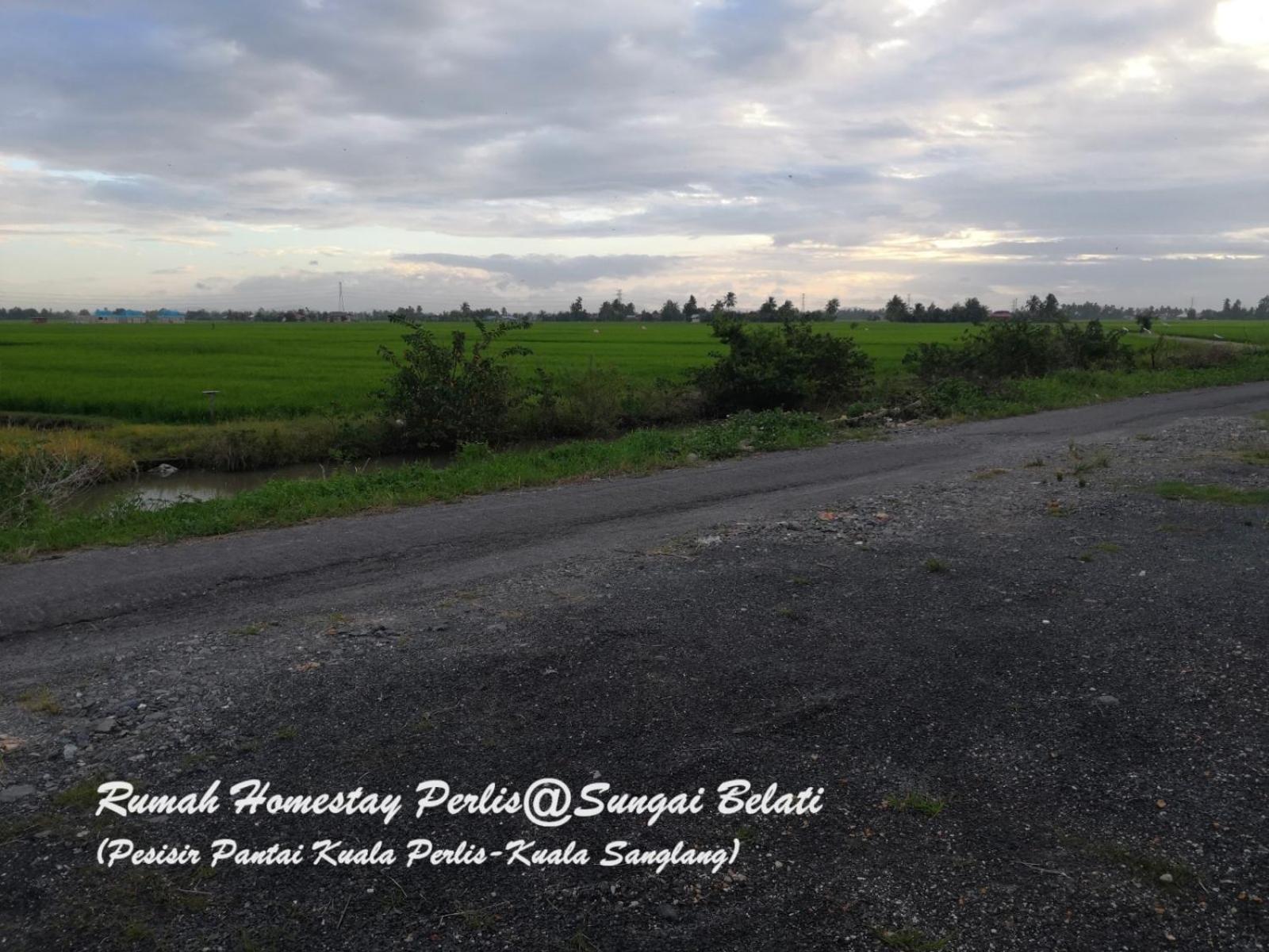 Вілла Rhumah Sungai Belati Simpang Empat  Екстер'єр фото